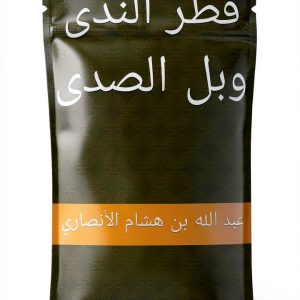 Arabic Kindle Reference Guide - 20 Page Language Instruction eBook-0