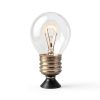 Oven Light Bulb SouLight 40W Incandescent G45 E27 Warm White 2 Pack-1
