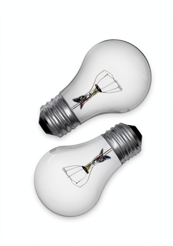 GE Incandescent 40 Watt Soft White A15 Appliance Bulbs 2 Pack-0
