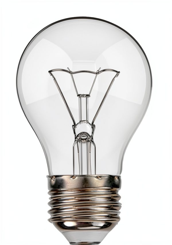 100 Watt Incandescent Light Bulbs, A19 100 WATT Incandescent Bulb Shatter Resistant Rough Service Light Bulb 100 WATTS A19 Shape, E26 Standard Base 2 Pack-0
